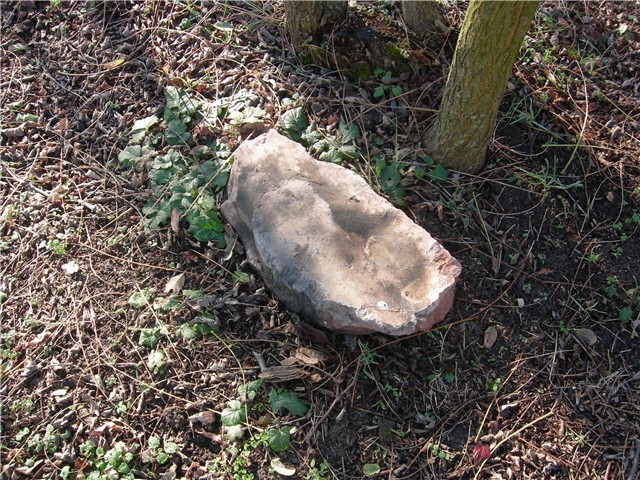 arčilend